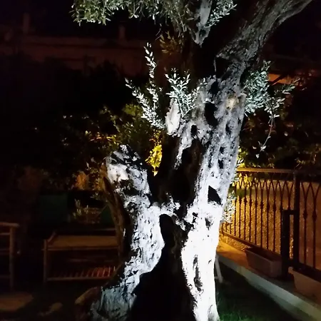 Cassiopeia 3* Alaçatı