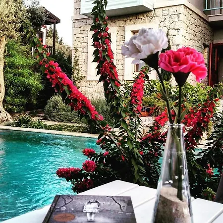 Cassiopeia 3* Alaçatı