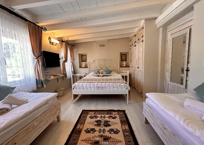 Cassiopeia Отель типа 