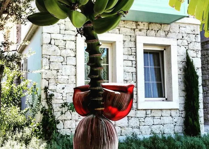 Cassiopeia Отель типа 