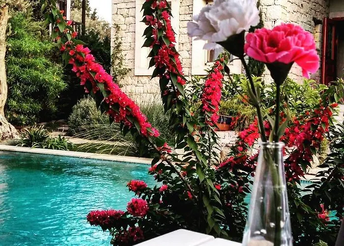 Cassiopeia 3* Алачати