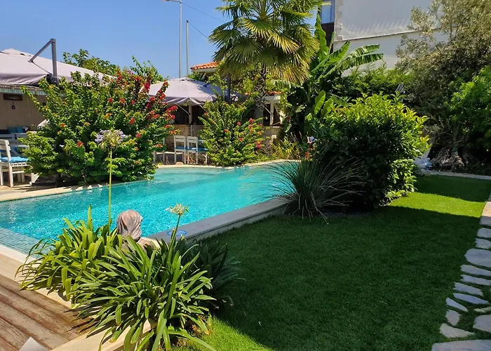 ベッド・アンド・ブレックファスト Cassiopeia 3*