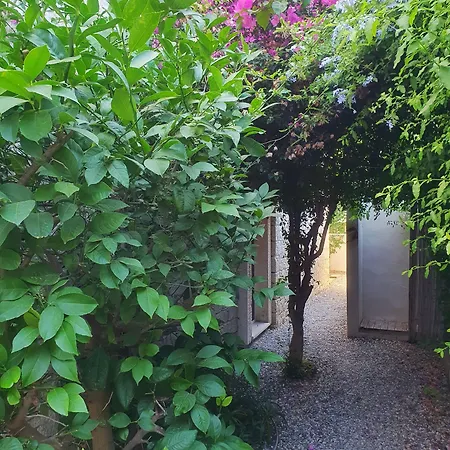 Bed & Breakfast Cassiopeia 3*