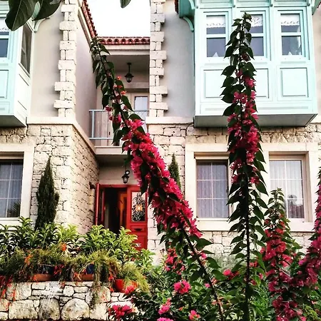 Cassiopeia Bed & Breakfast 3*