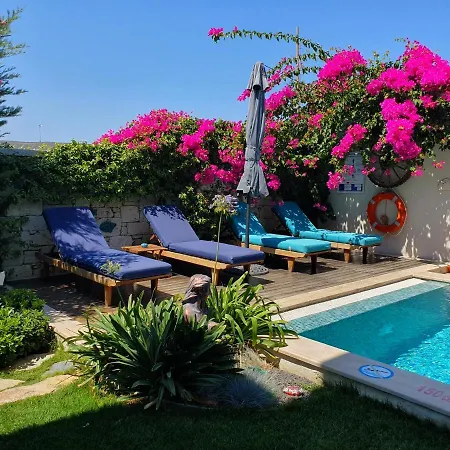 Cassiopeia Bed & Breakfast