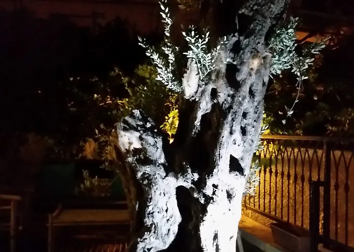 Cassiopeia 3* Alacati